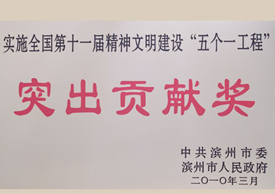 突出贡献奖